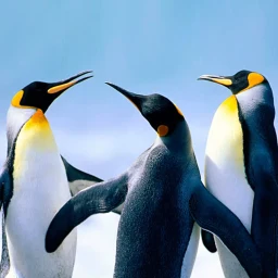 Ícone de The Penguin